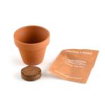 Radis et Capucine - Mini kit Fraisier - Pot Terre Cuite - 6 cm - MEDIA_EN_SITUATION_2